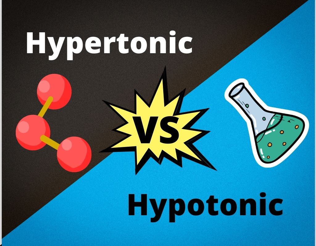 Hypertonic vs hypotonic solutions