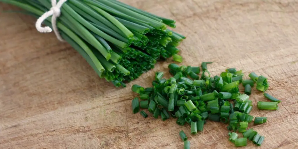 Chives vs. Green Onions - How Do They Differ?