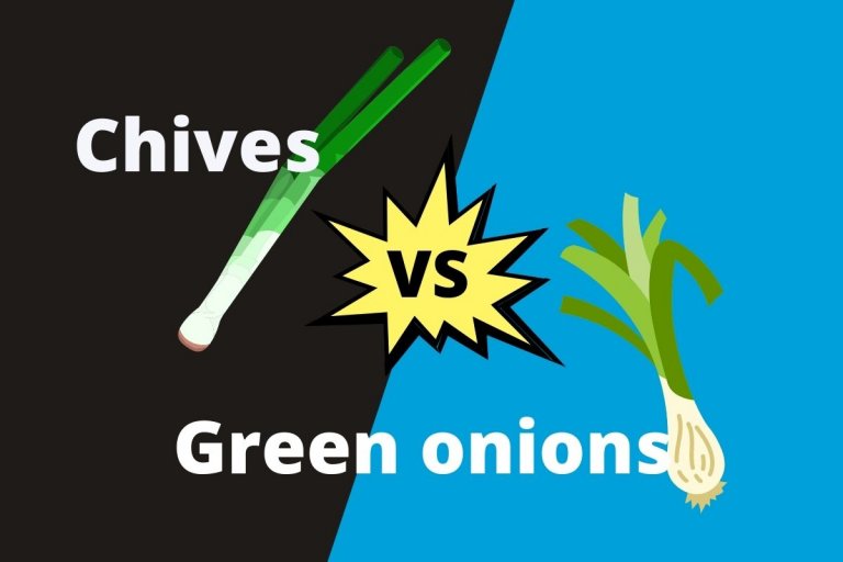 Chives Vs. Green Onions How Do They Differ? ContrastHub