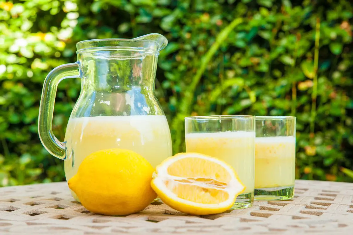 In lemonade, sugar and lemon juice are solutes, while water is the solvent in which they dissolve.