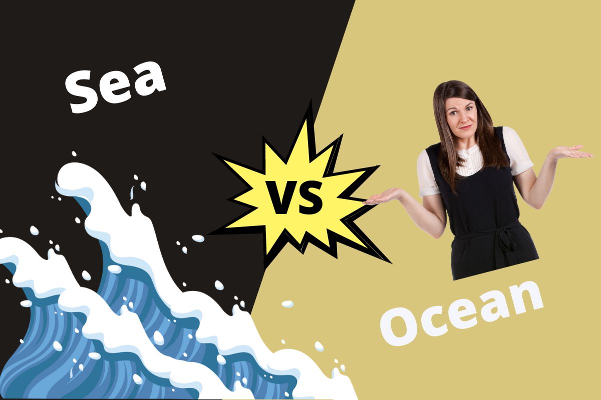 Sea vs Ocean