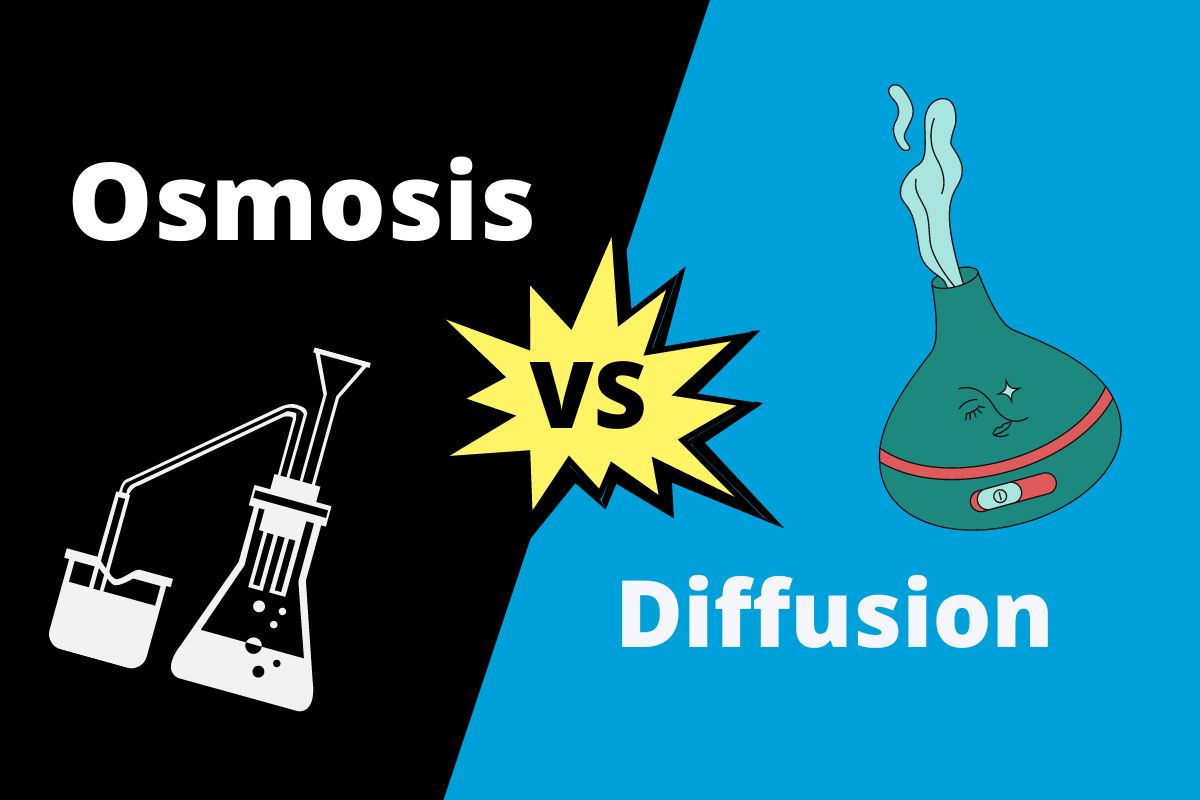 What is the difference between osmosis and diffusion