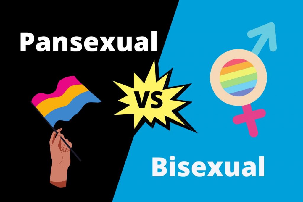 Pansexual Vs Bisexual Contrasthub