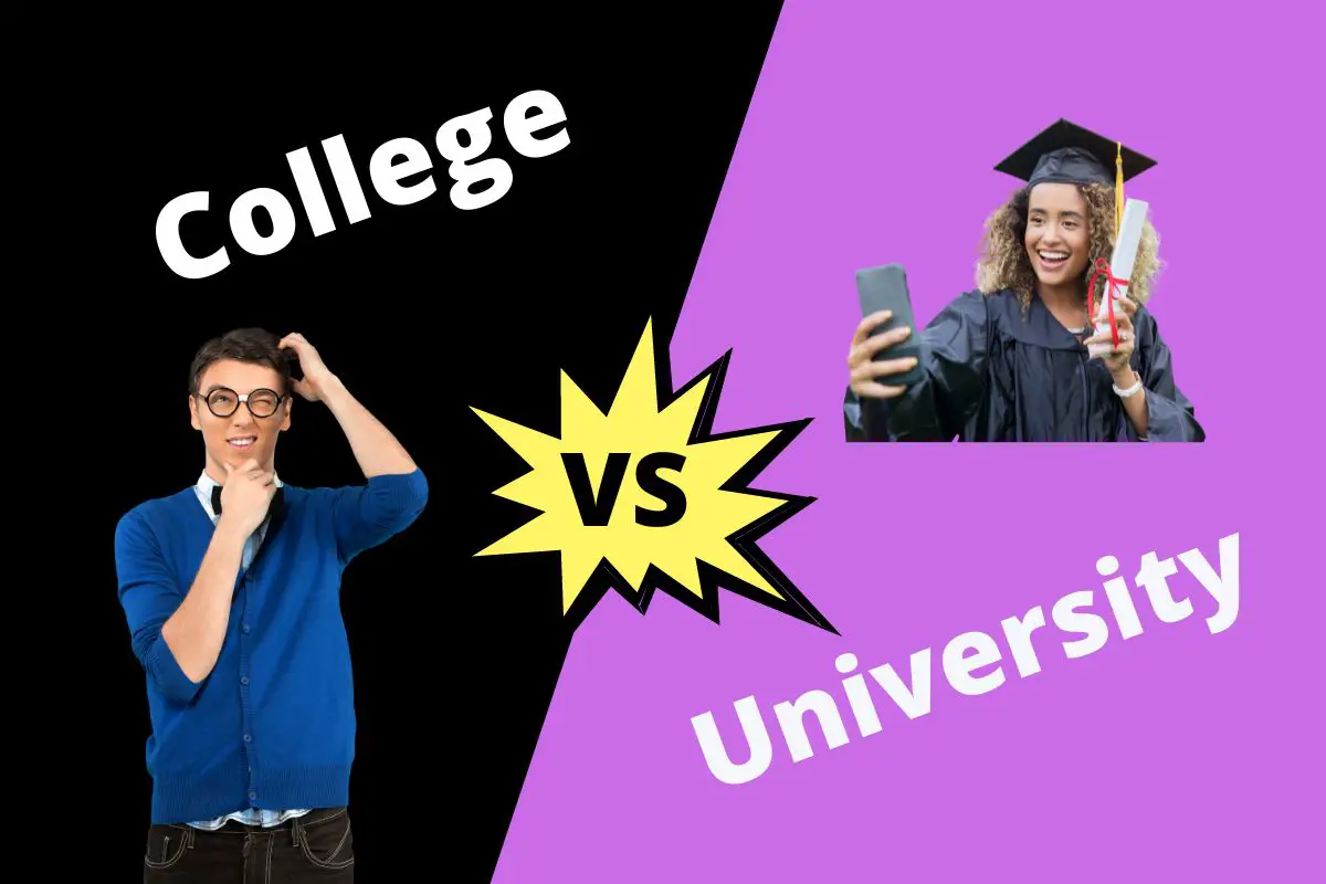 Difference Between College And University ContrastHub