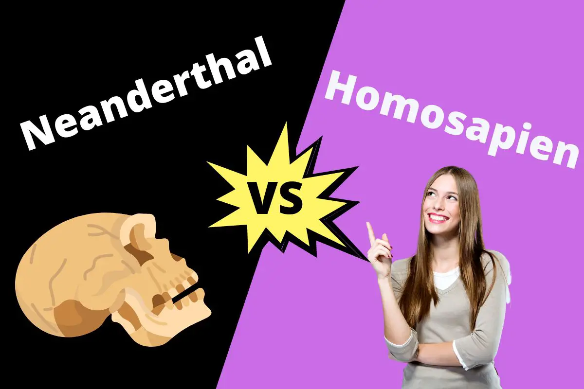 Neanderthal vs homosapien