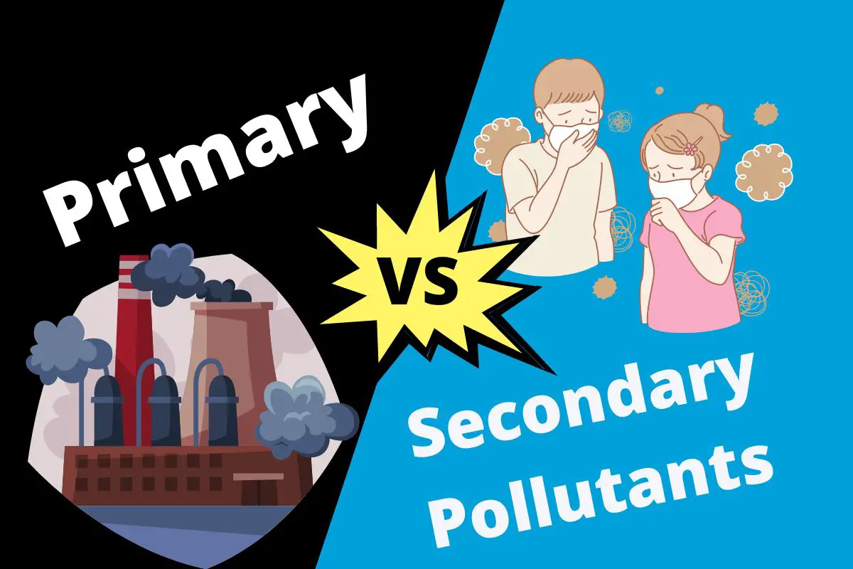 Primary And Secondary Pollutants Contrasthub 8417