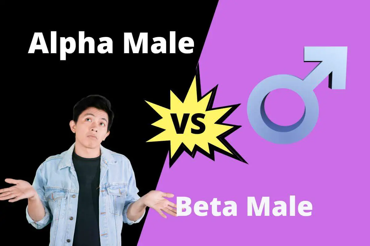 Alpha male vs beta male