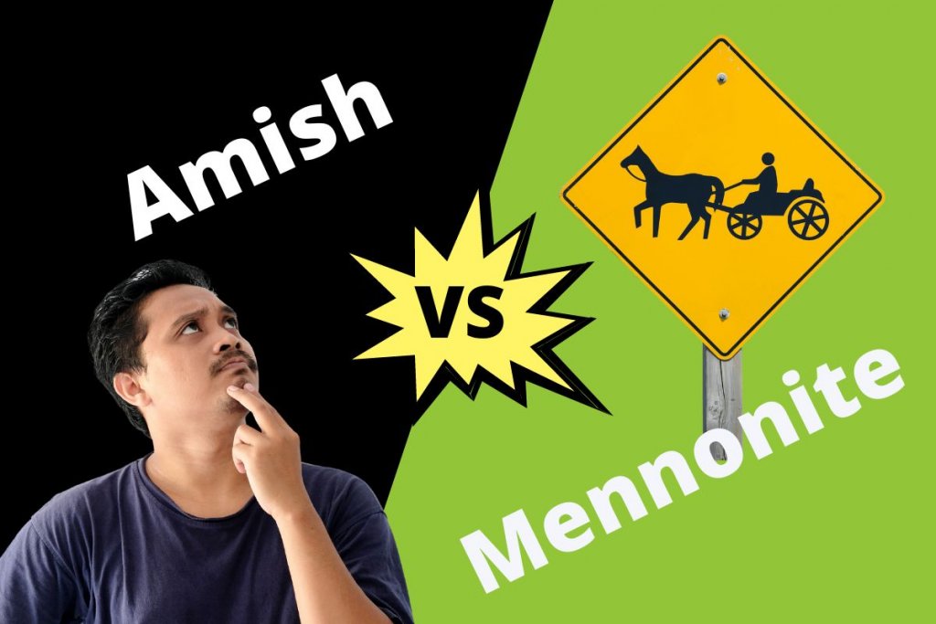 Difference Between Amish And Mennonite ContrastHub